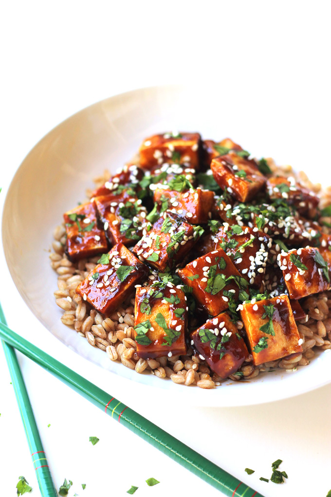 Easy-Hoisin-Tofu.8