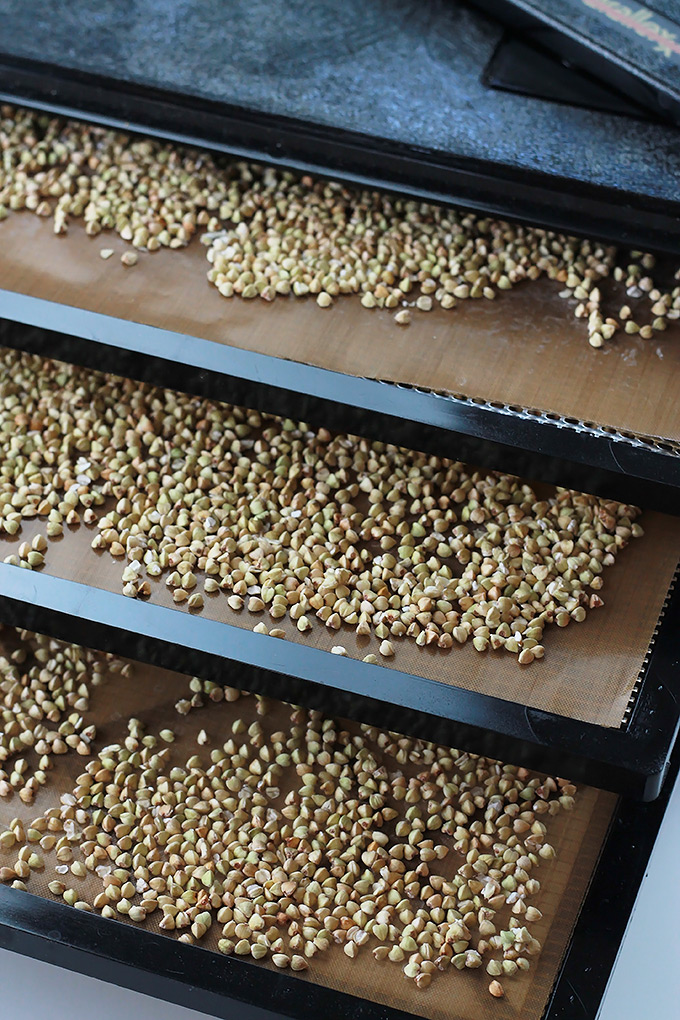 Sweet crispy Buckwheat Pumpkin Clusters a perfect anytime snack.