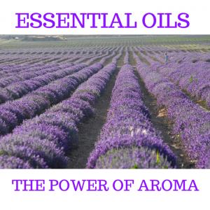 Essential Oils The Power Of Aroma