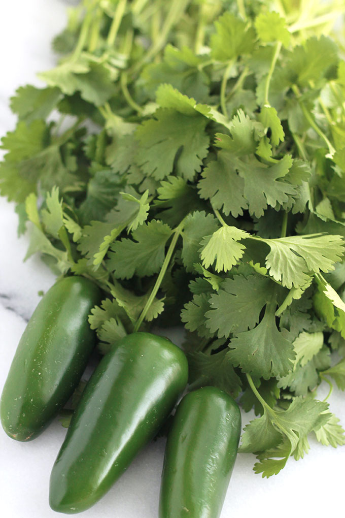 This quick and easy Cilantro Jalapeno Hummus is a wonderful combination of flavors. A take off the traditional hummus recipe, but spiced-up a bit.