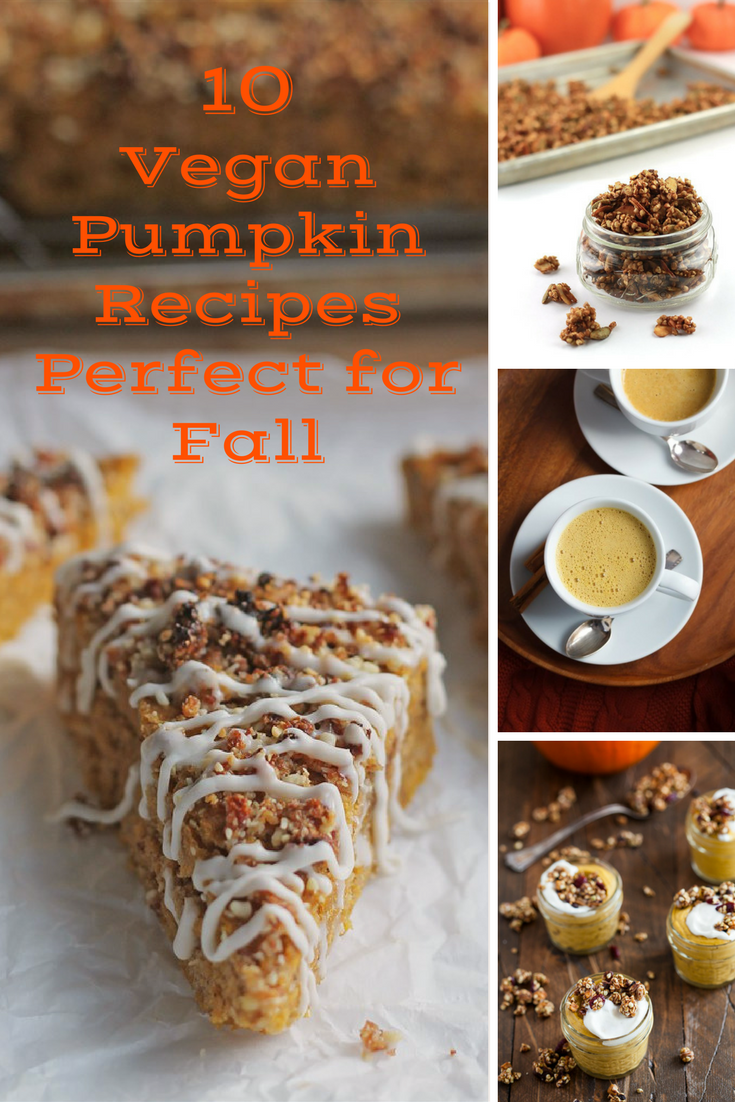 Pumpkin season is in full swing, so here are 10 Vegan Pumpkin Recipes perfect for Fall.