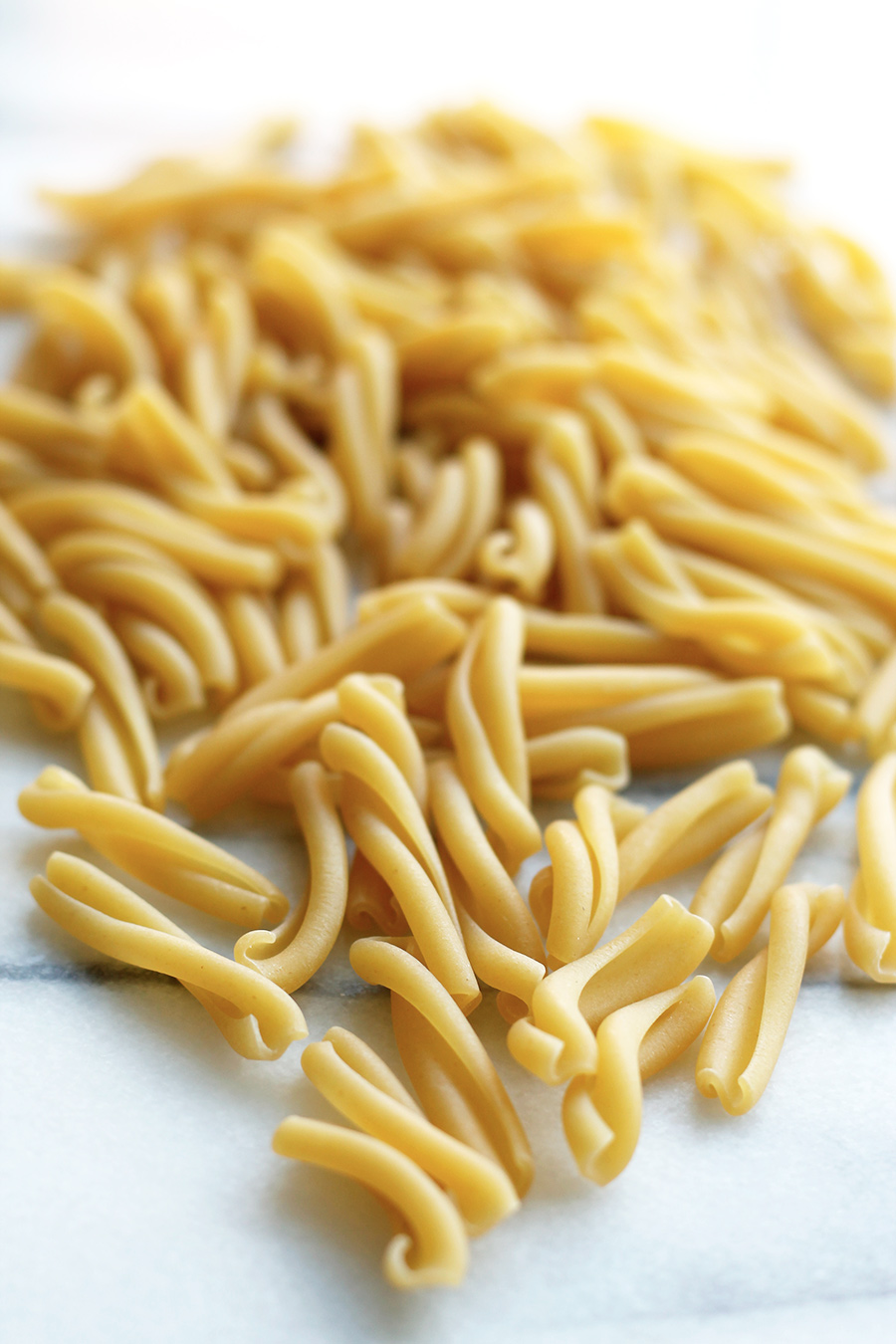 Uncooked casarecce pasta noodles