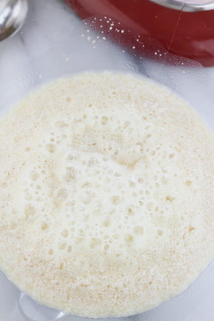 Overhead shot of proofed yeast mixture in glass bowl of stand mixer.